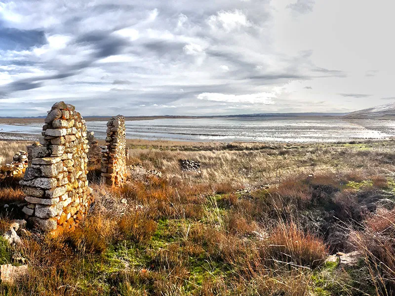 Ruta las Grullas - Gallocanta - Imagen 3