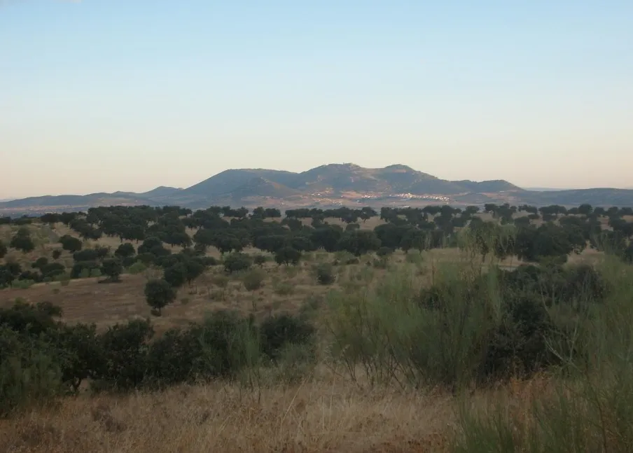 Ruta de El Viso a la Ermita de Don Miguel