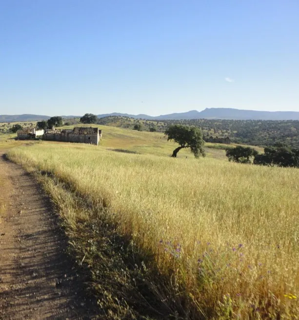 Ruta de El Viso al cortijo de los Cárdenas - Imagen 2