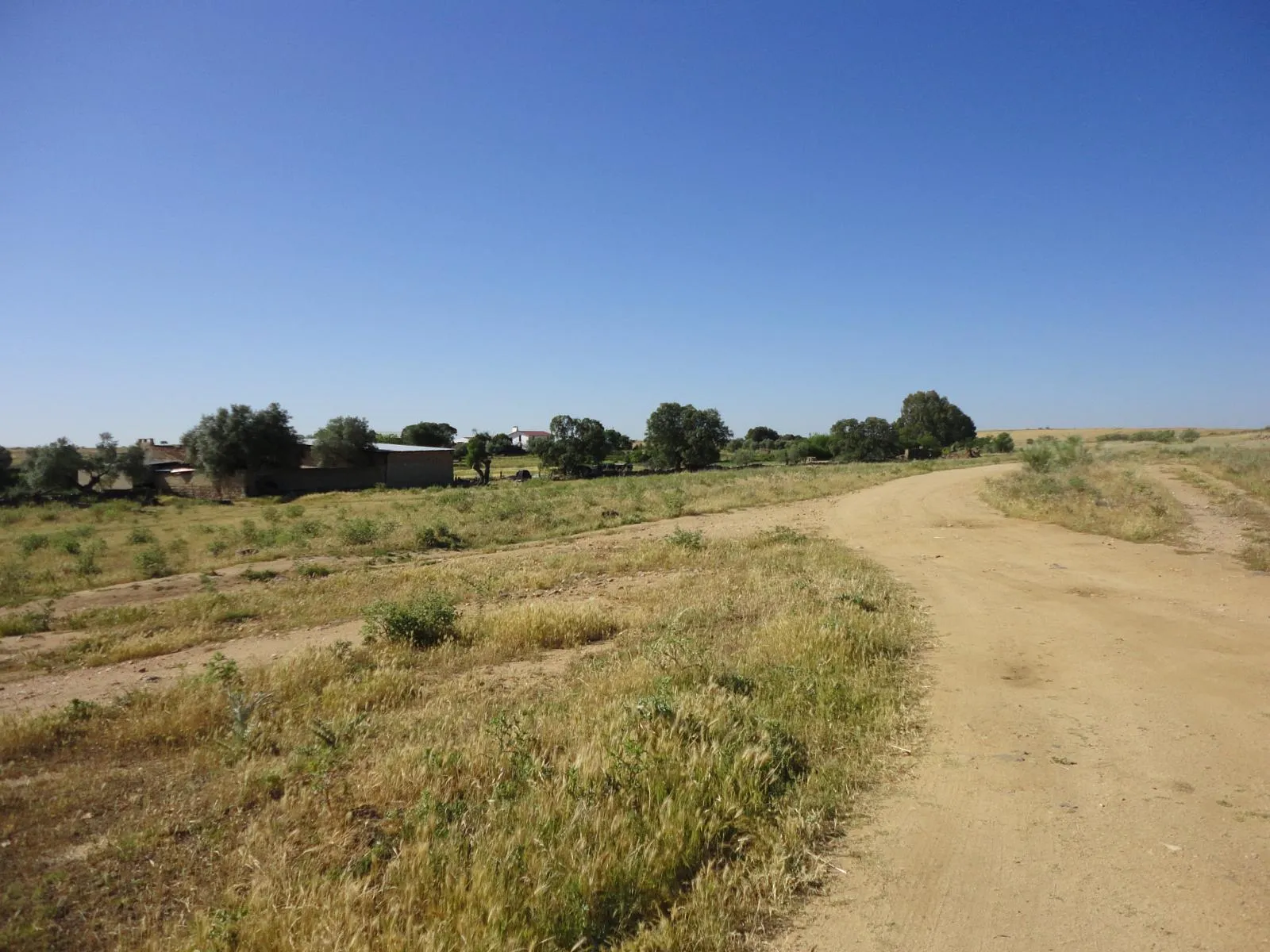 Ruta de El Viso al Viaducto sobre La Colada - Imagen 3