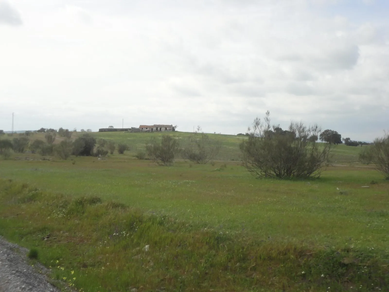 Ruta de El Viso al cortijo de los Cárdenas