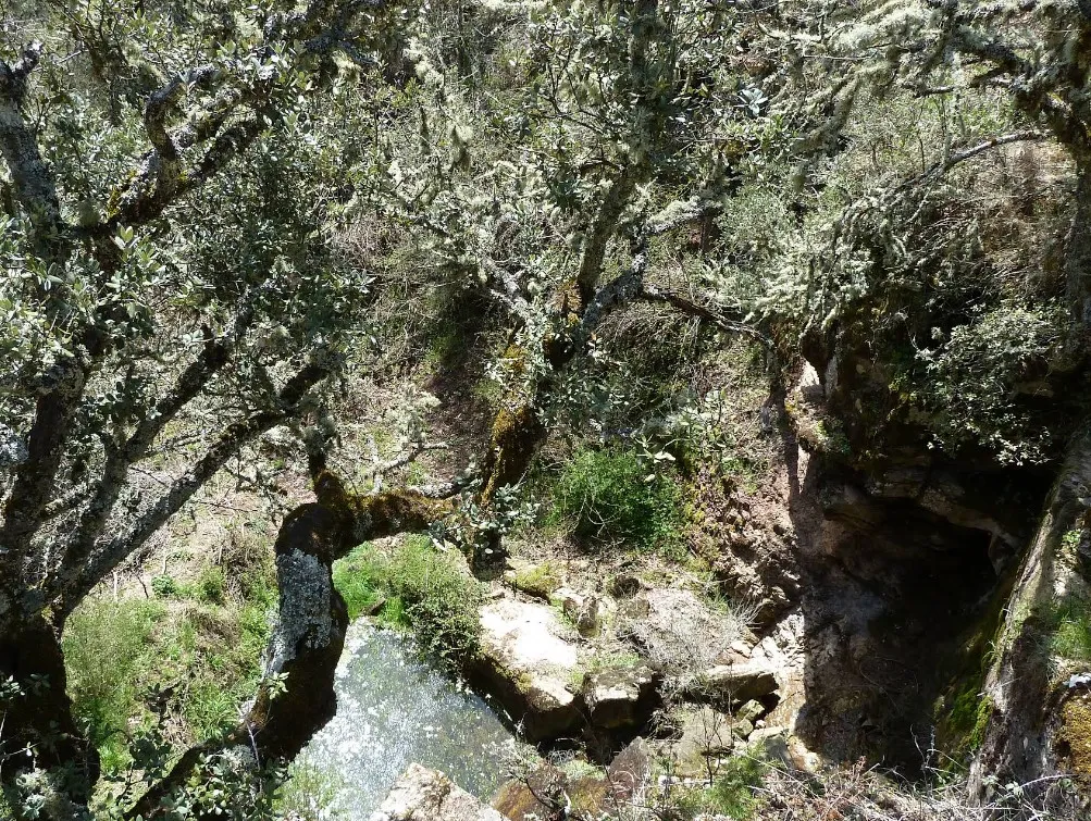 Ruta ida-vuelta Nacimiento del río Alhama - Fuentes de Magaña - Tierras Altas de Soria