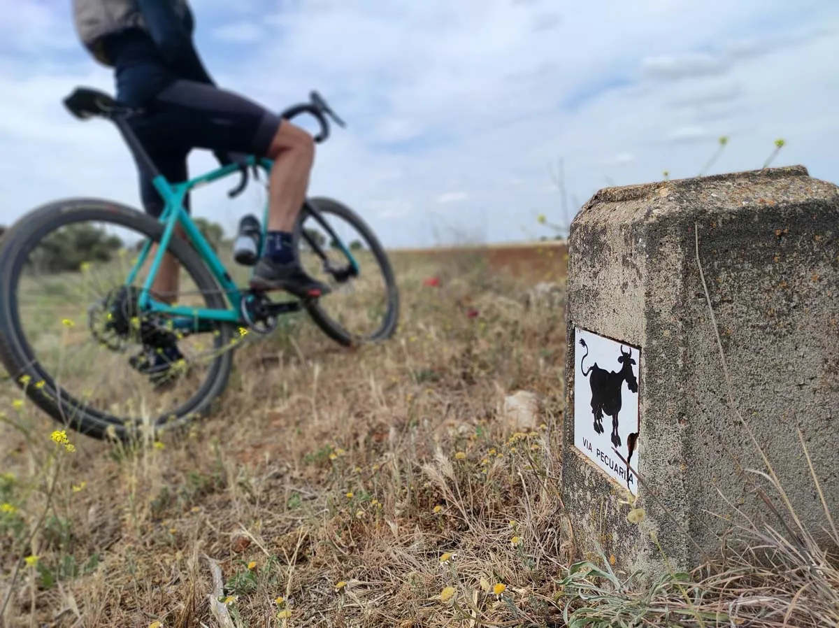 Ruta 11 El Altiplano Madrileño - Pozuelo del Rey - Imagen 2