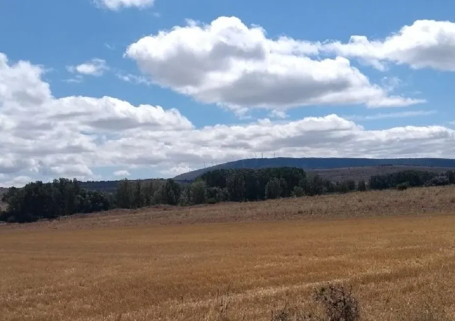 Ruta ida y vuelta Castilfrío de la Sierra - Aldeaseñor - Imagen 2