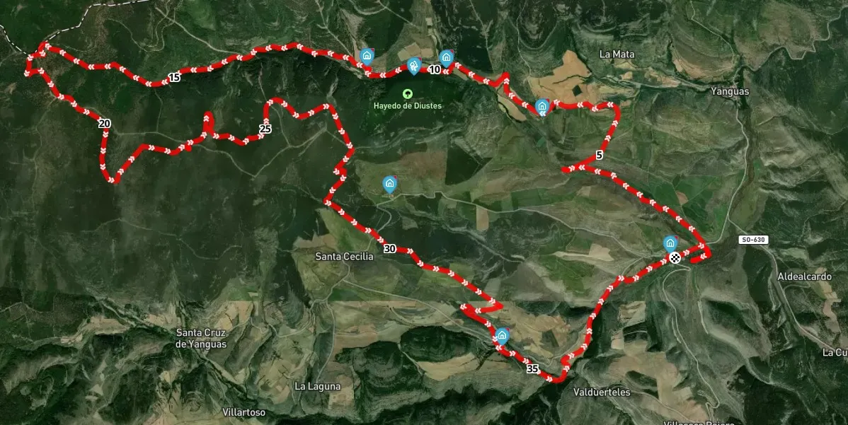 Ruta de las Icnitas - Villar del Río - Tierras Altas de Soria - Imagen 3
