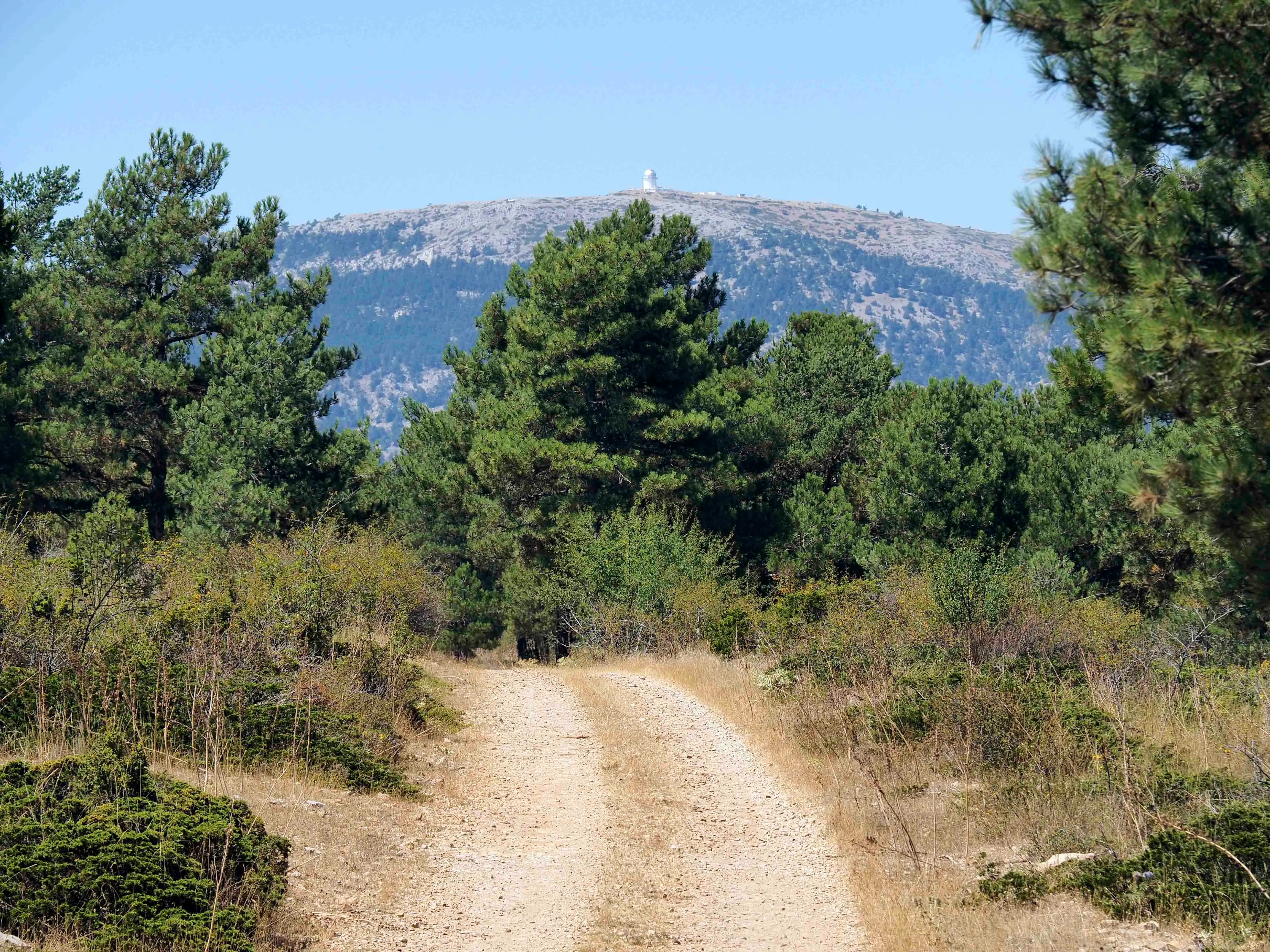 Ruta La Nava de Torrijas y Ermita de Santa Margarita