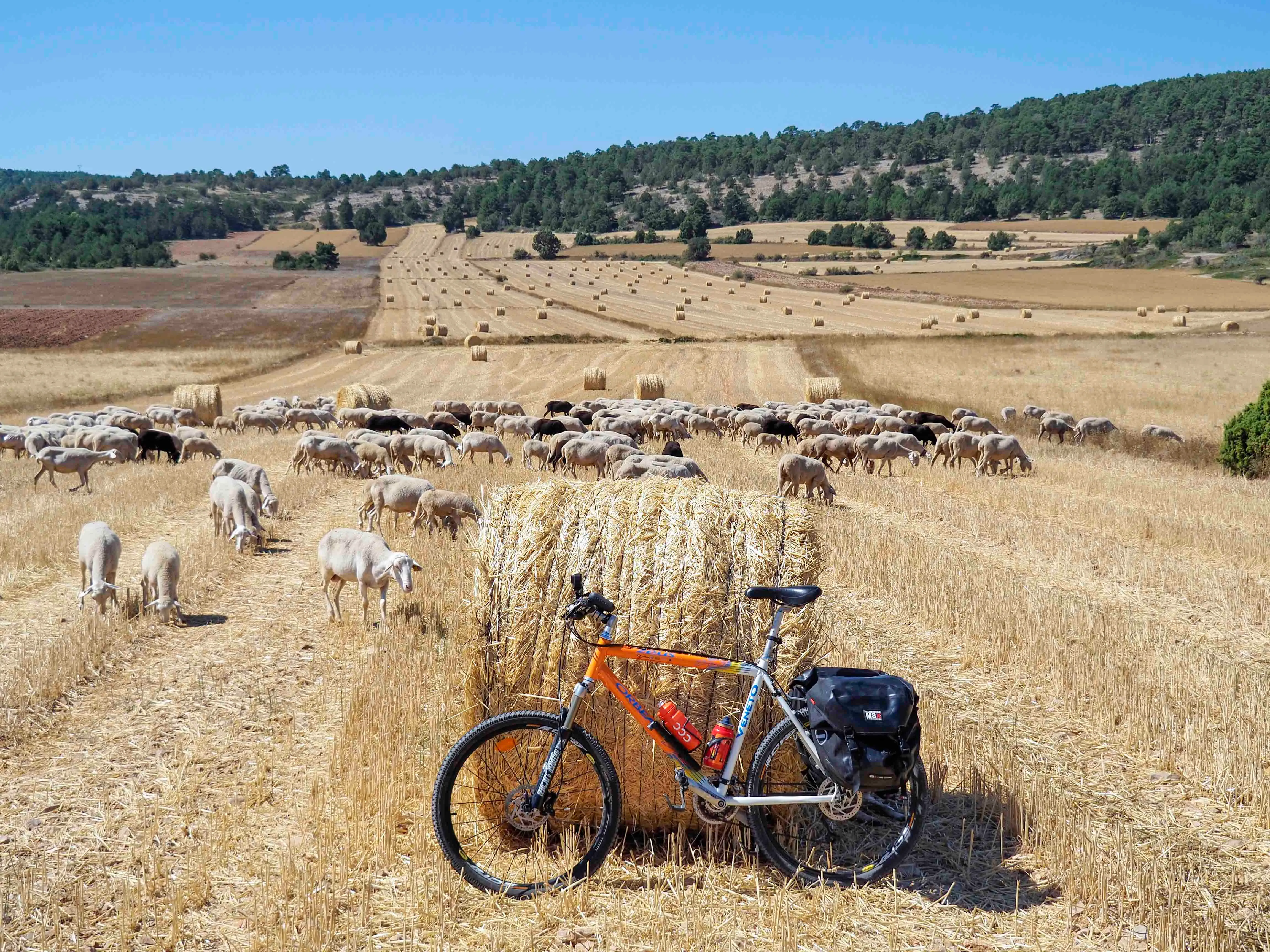 Ruta La Nava de Torrijas y Ermita de Santa Margarita - Imagen 3
