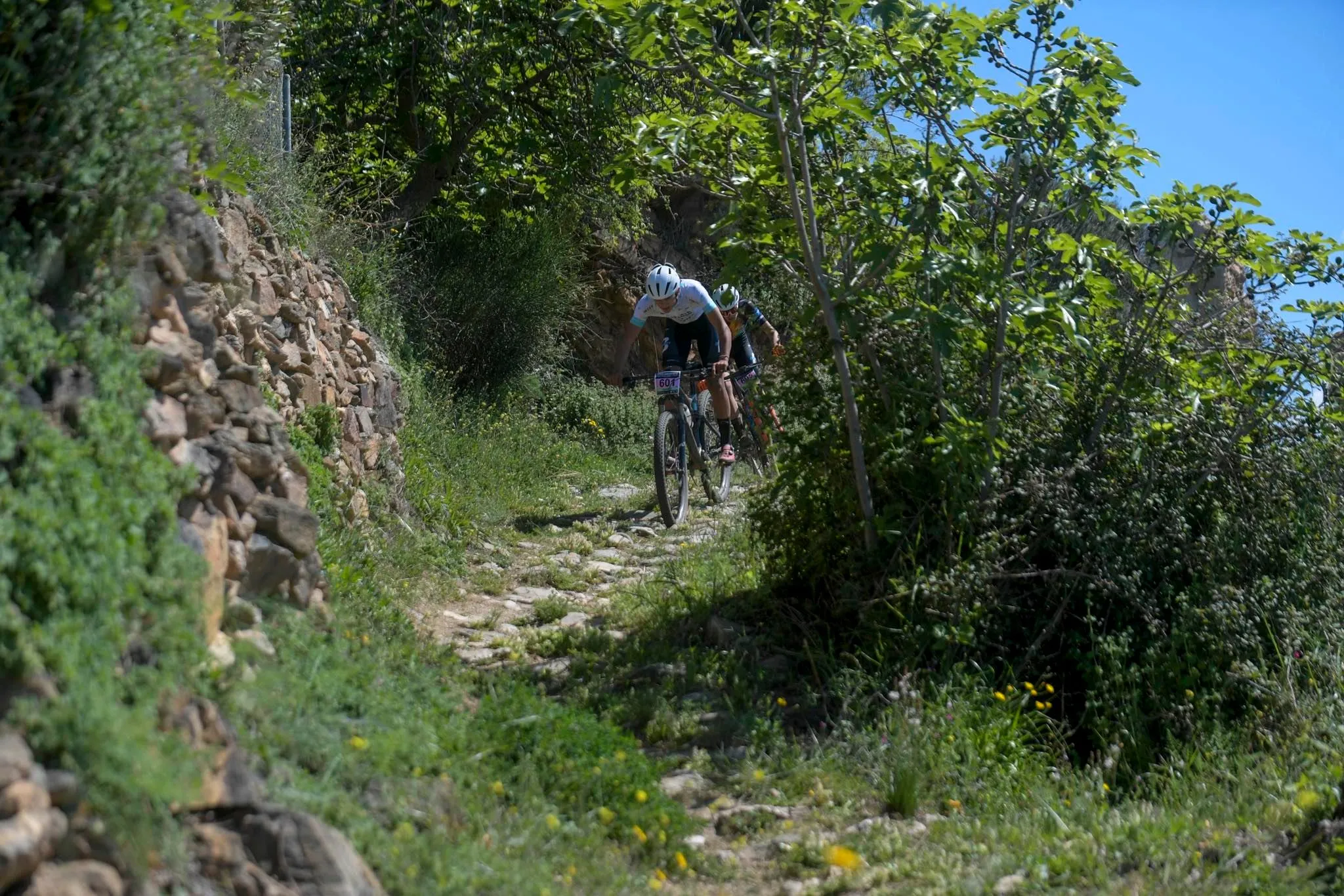 Ruta Circular de Tello -  Lanjarón