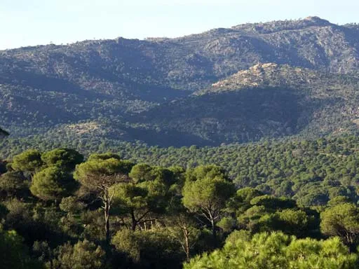 Ruta Ctra. de la Granjilla - San Martín - Pelayos de la Presa