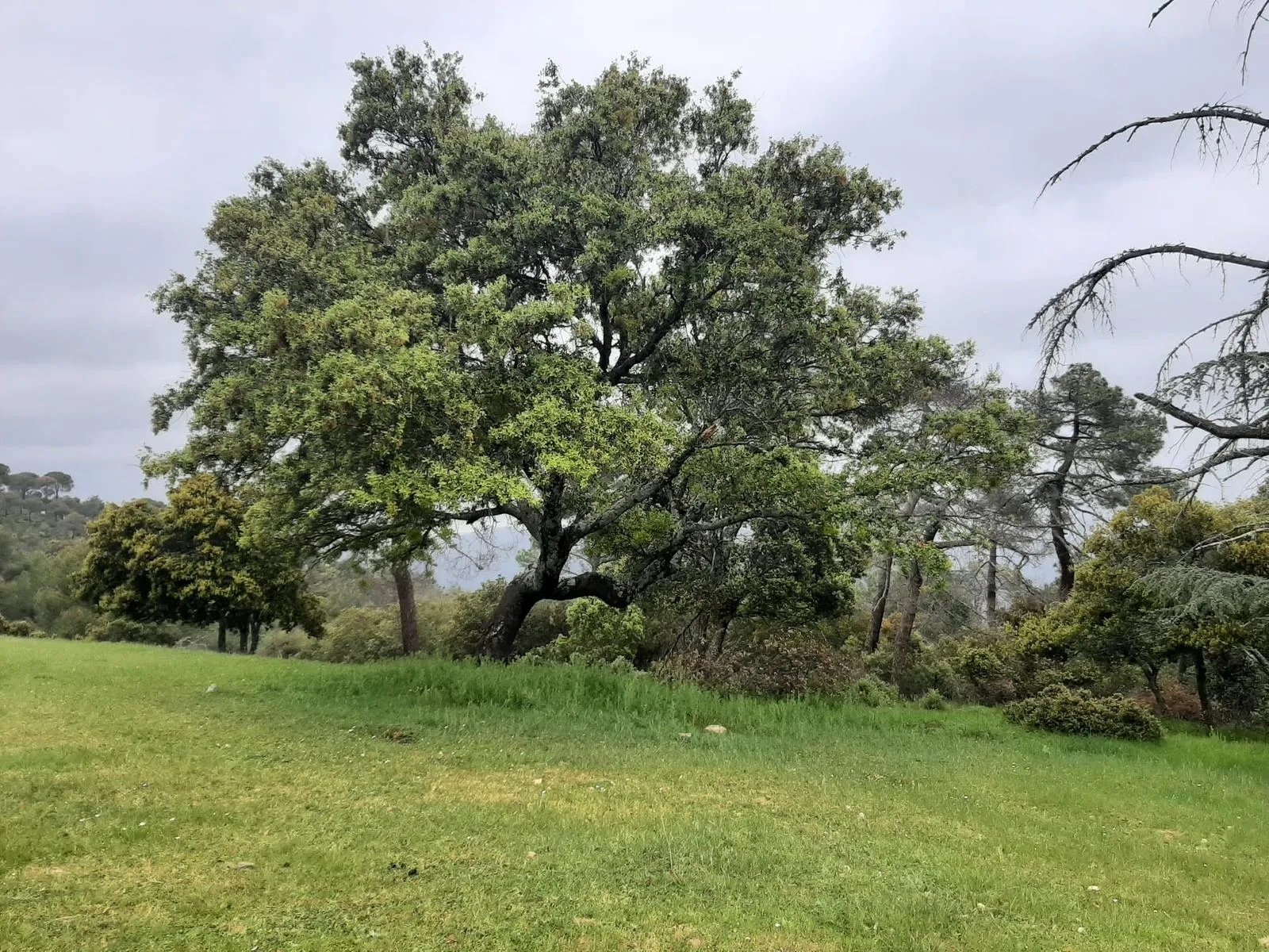 Ruta Cerro Valdelaosa, Casa Tío Guzmán - Imagen 3