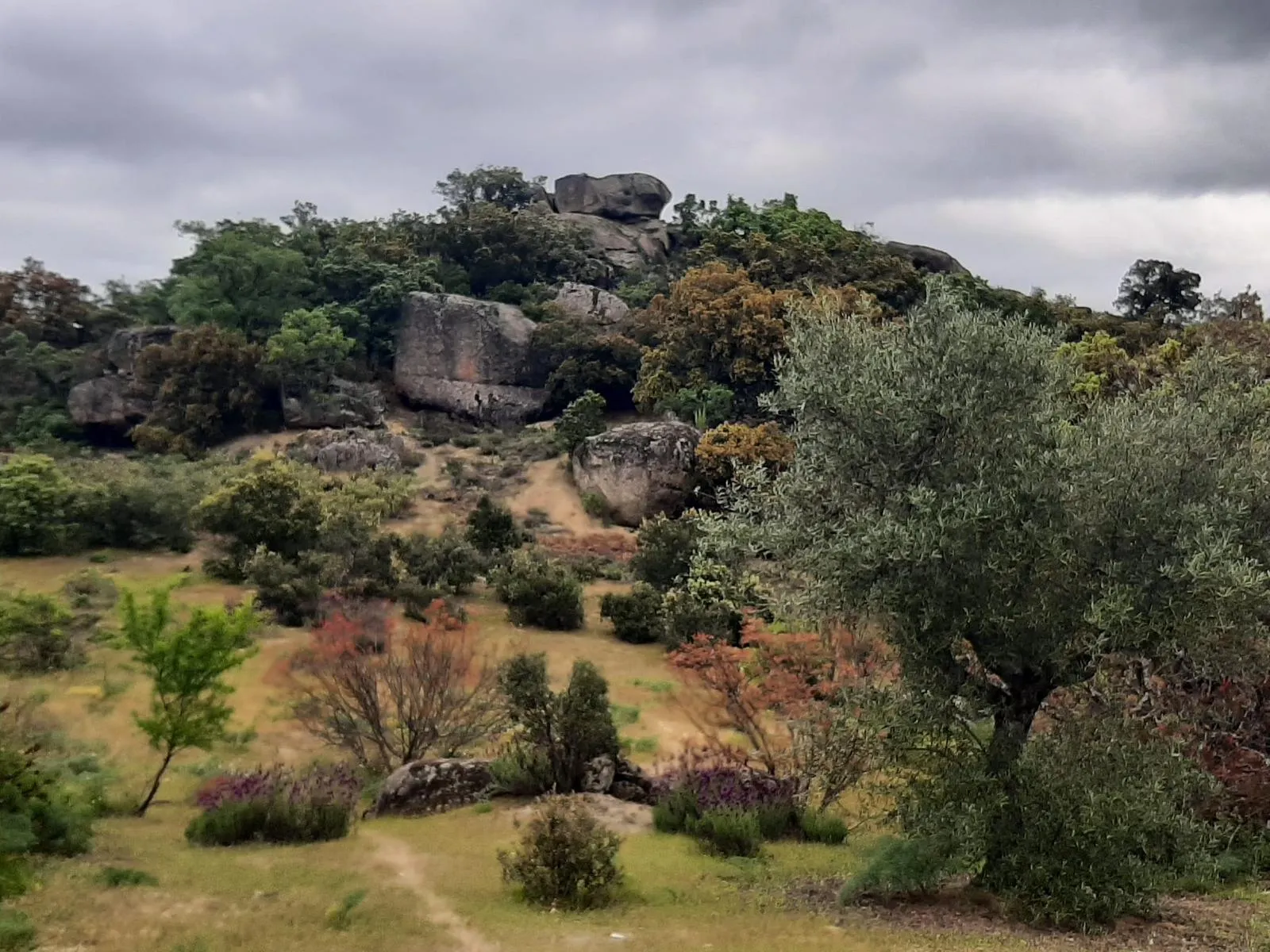 Ruta Cerro Valdelaosa, Casa Tío Guzmán - Imagen 2