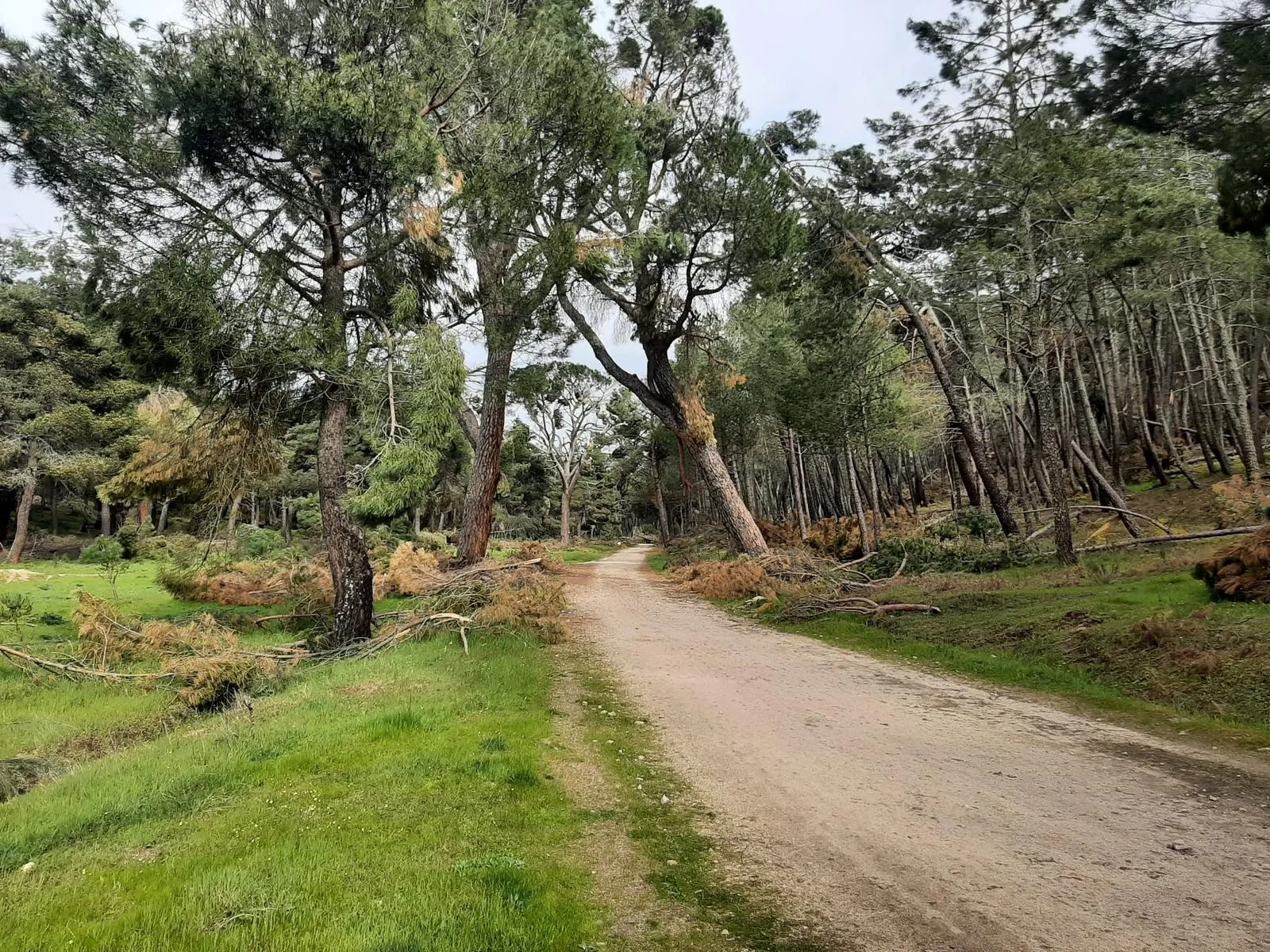 Ruta el Boquerón - Imagen 2