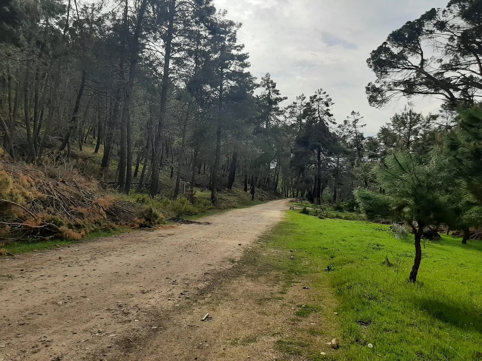 Ruta el Boquerón - Imagen 3