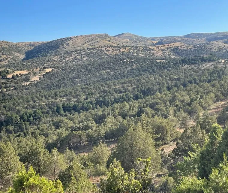 Ruta La Puebla de Valverde